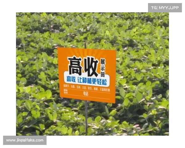 红玉圣殿从新手到高手全程攻略技巧解析助你轻松通关 红玉圣殿从新手到高手全程攻略技巧解析助你轻松通关